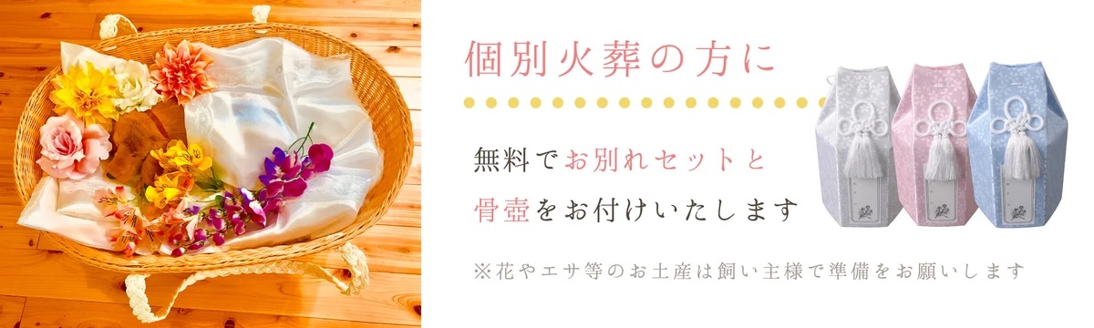 葬儀・法要のことなら円通寺へ